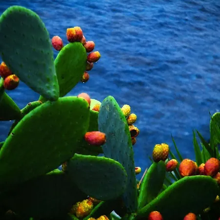 Semesterbostad Suitecentralsolution Catania