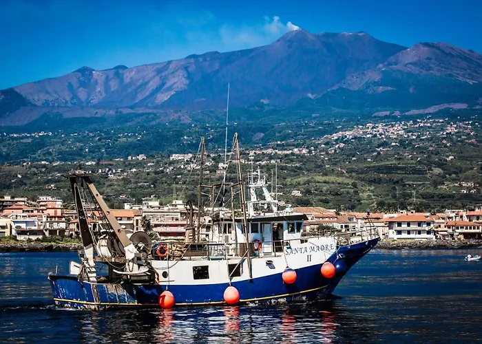 Suitecentralsolution * Katania