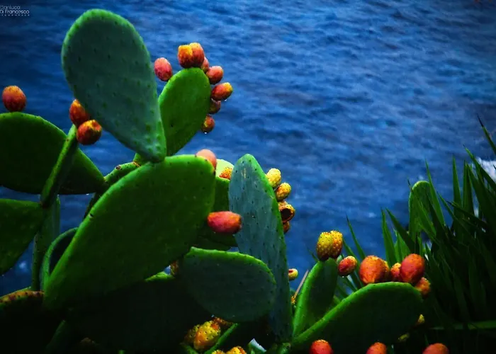 Dom wakacyjny Suitecentralsolution Katania