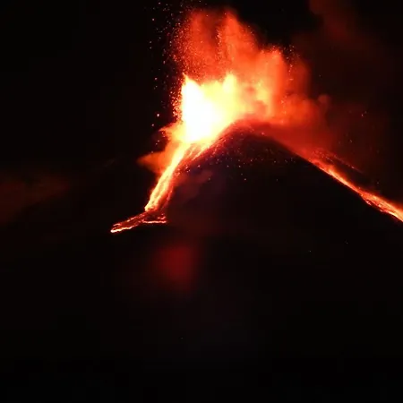 度假居 Suitecentralsolution